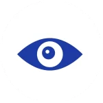 Vision